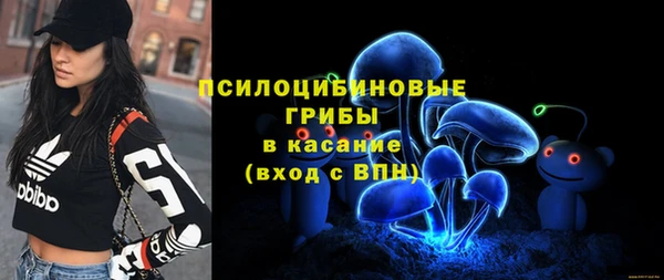 молекула духа Пролетарск
