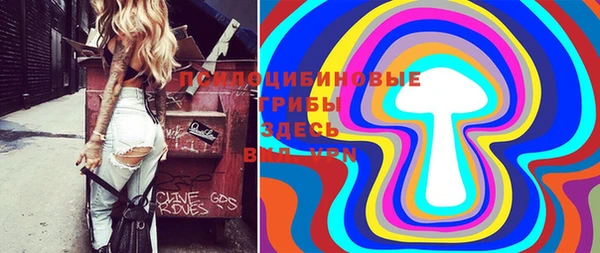 mdma Протвино