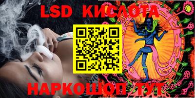 гидра Шадринск