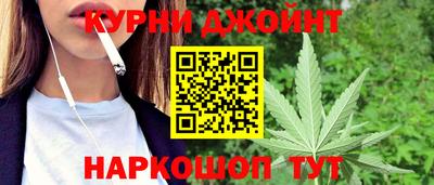 гидра Шадринск