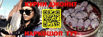 гидра Шадринск