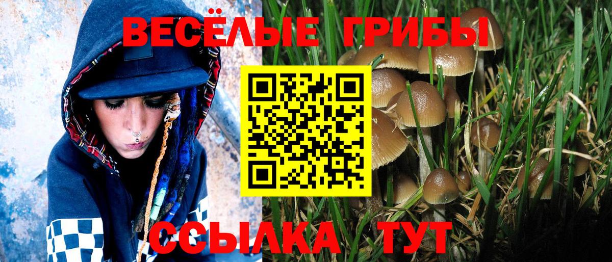 Советск  где купить   Псилоцибиновые грибы Psilocybe  Вход с VPN  Псилоцибиновые грибы Magic Shrooms 